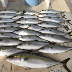 大雄丸 釣果