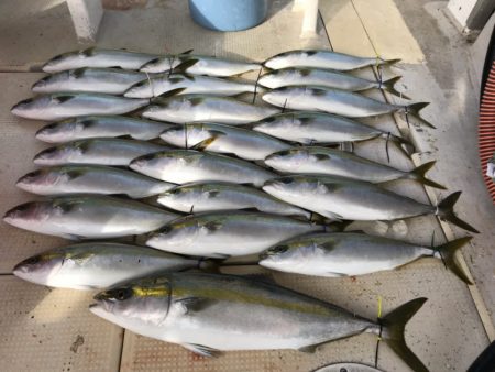 大雄丸 釣果