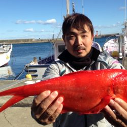 晃山丸 釣果