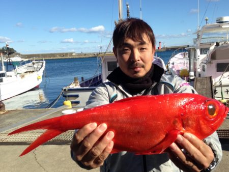 晃山丸 釣果