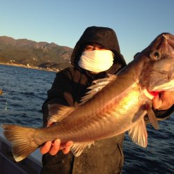 晃山丸 釣果