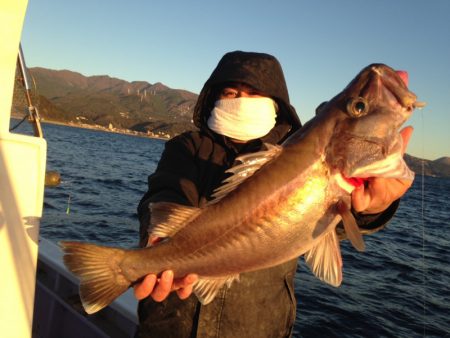 晃山丸 釣果