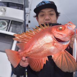 渡船屋たにぐち 釣果