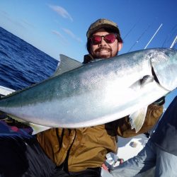 ひな丸 釣果