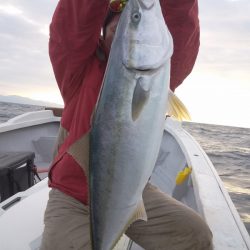 ひな丸 釣果