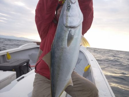 ひな丸 釣果