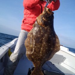 ひな丸 釣果