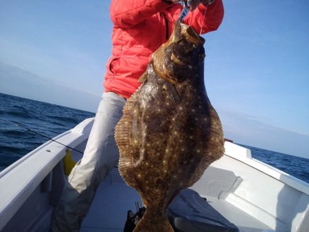 ひな丸 釣果