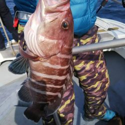 光生丸 釣果