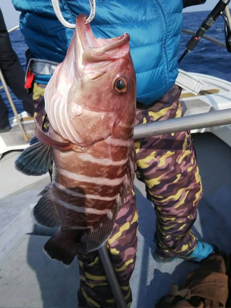 光生丸 釣果