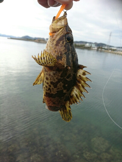 久しぶりの地元