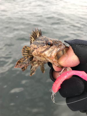 ホームの初釣り