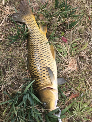 楽しい釣り発見