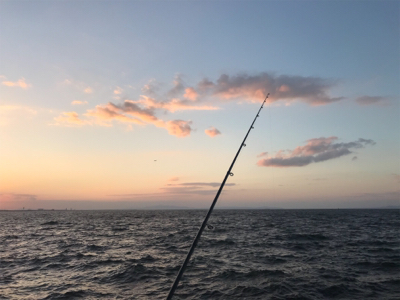 久しぶりの人工島