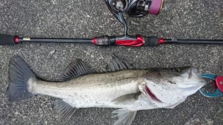 流れの当たる側で漸くゴゴン！