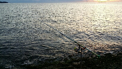 初釣りはアオリイカ