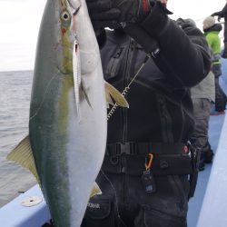 松鶴丸 釣果