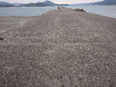 あけおめ、初釣果！