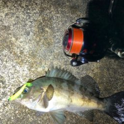 満足いくメバルの釣果