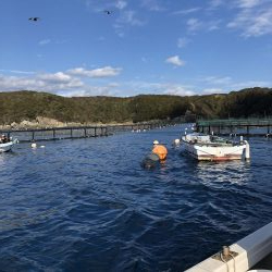 串本大島えり丸さんにて