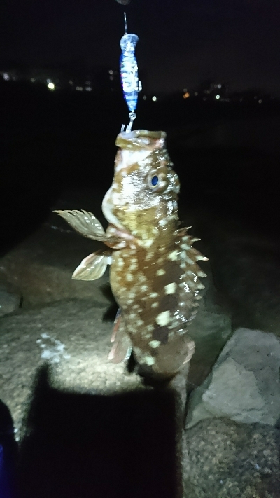 江井ヶ島近辺のサーフをランガン