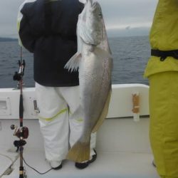 開進丸 釣果