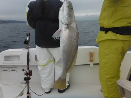 開進丸 釣果