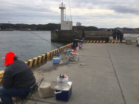 サビキ初釣り