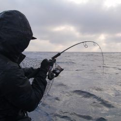 松鶴丸 釣果