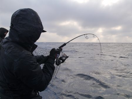 松鶴丸 釣果