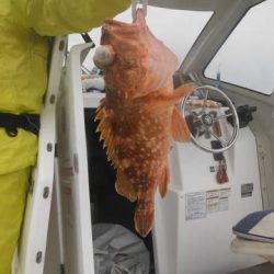 開進丸 釣果