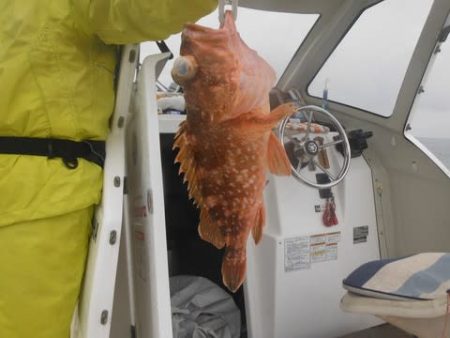 開進丸 釣果