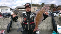 まこと渡船 釣果