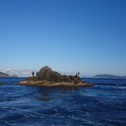 しば渡船 釣果