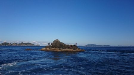 しば渡船 釣果