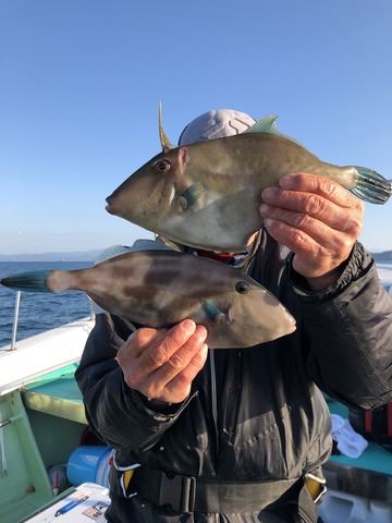 千宝丸 釣果