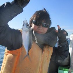 あい川丸 釣果