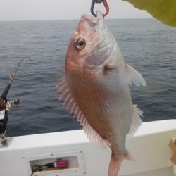 開進丸 釣果