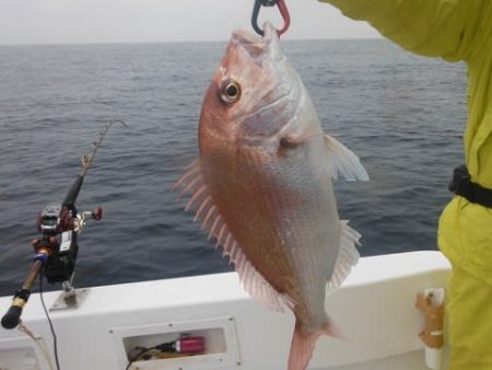 開進丸 釣果