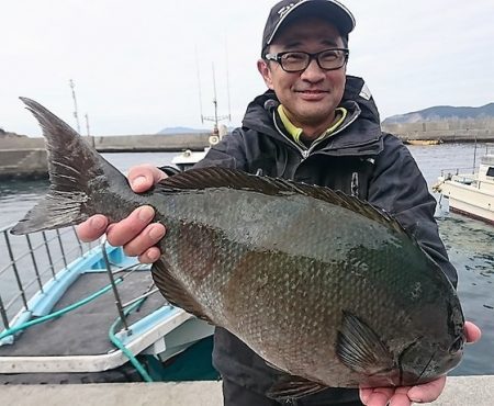 しば渡船 釣果