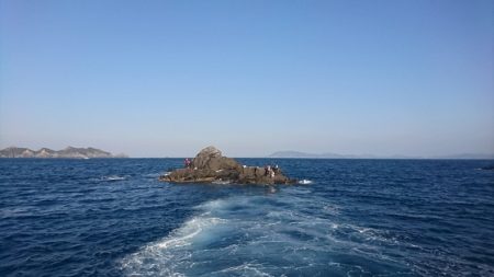 しば渡船 釣果