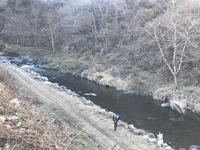 秩父フライフィールド 釣果