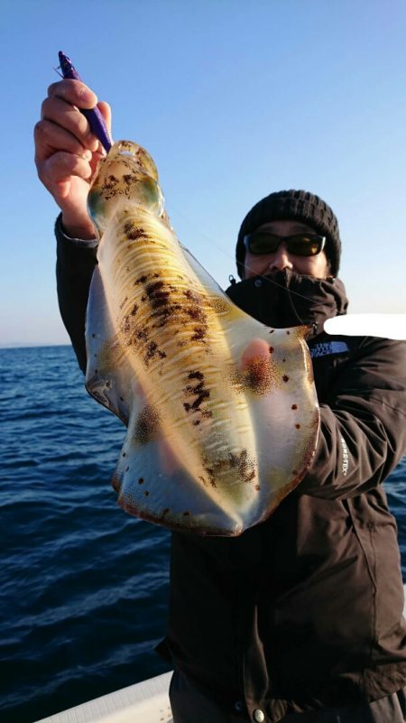 きずなまりん 釣果