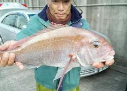 長栄丸(静岡) 釣果