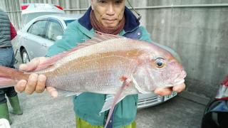 長栄丸(静岡) 釣果