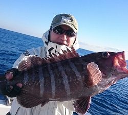 海龍丸（福岡） 釣果