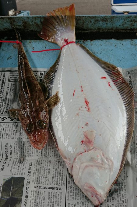 明神釣船 釣果