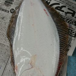 明神釣船 釣果