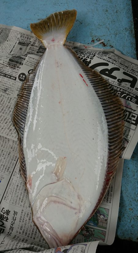 明神釣船 釣果