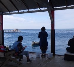 本部釣りイカダ 釣果